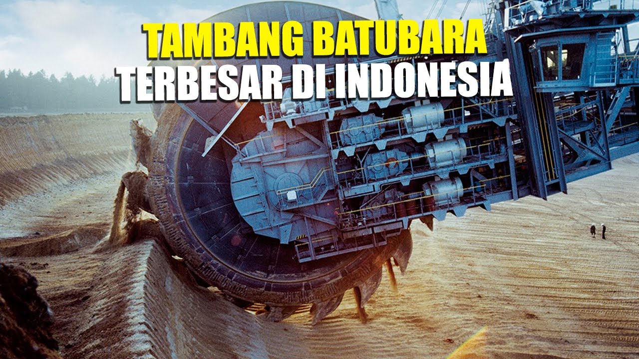 Ternyata Inilah Tambang Batubara Terbesar di Indonesia
