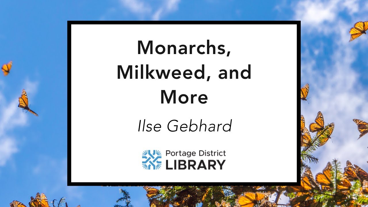 Monarchs, Milkweed, and More - Presented by Ilse Gebhard