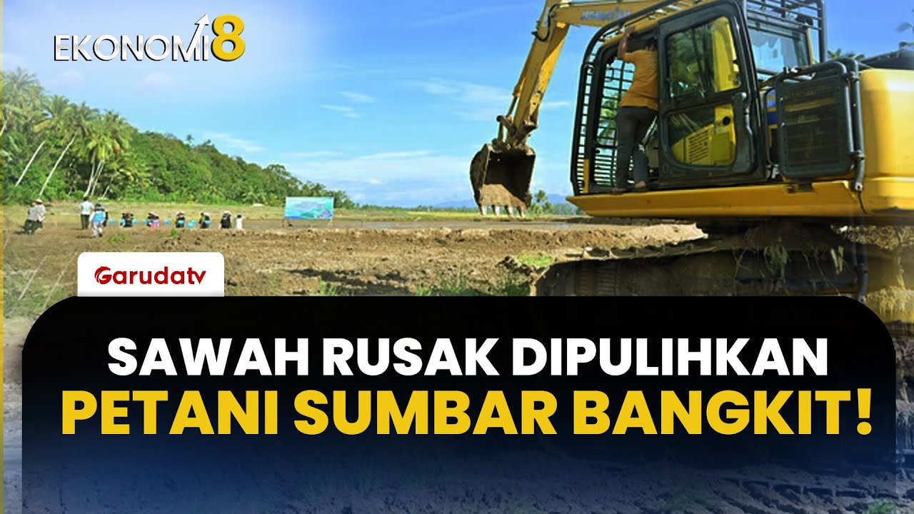 Kementan Gerak Cepat! Rehabilitasi 6.451 Hektare Sawah Terdampak Bencana di Sumatra Barat Dimulai