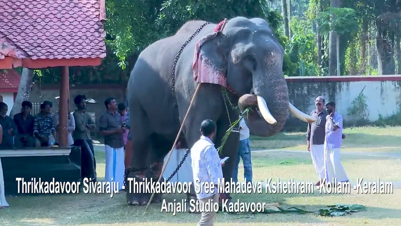 THRIKKADAVOOR SIVARAJU THRIKKADAVOOR SREE MAHADEVA TEMPLE KOLLAM KERALAM CAMERA ANJALI STUDIO KADAVO