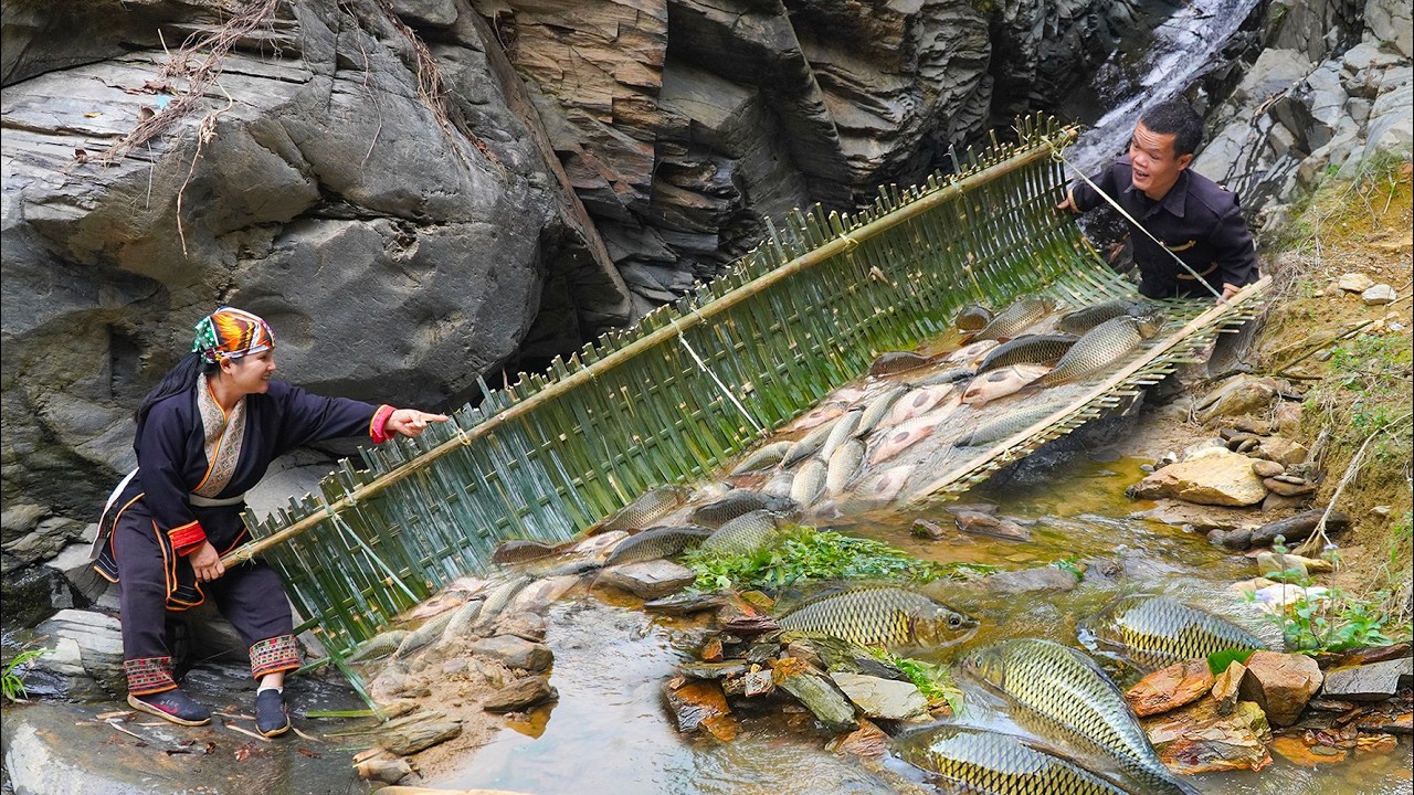Dwarf Family Traps and Harvests Fish - Dwarfs' Wild Fishing Skills - Full Video