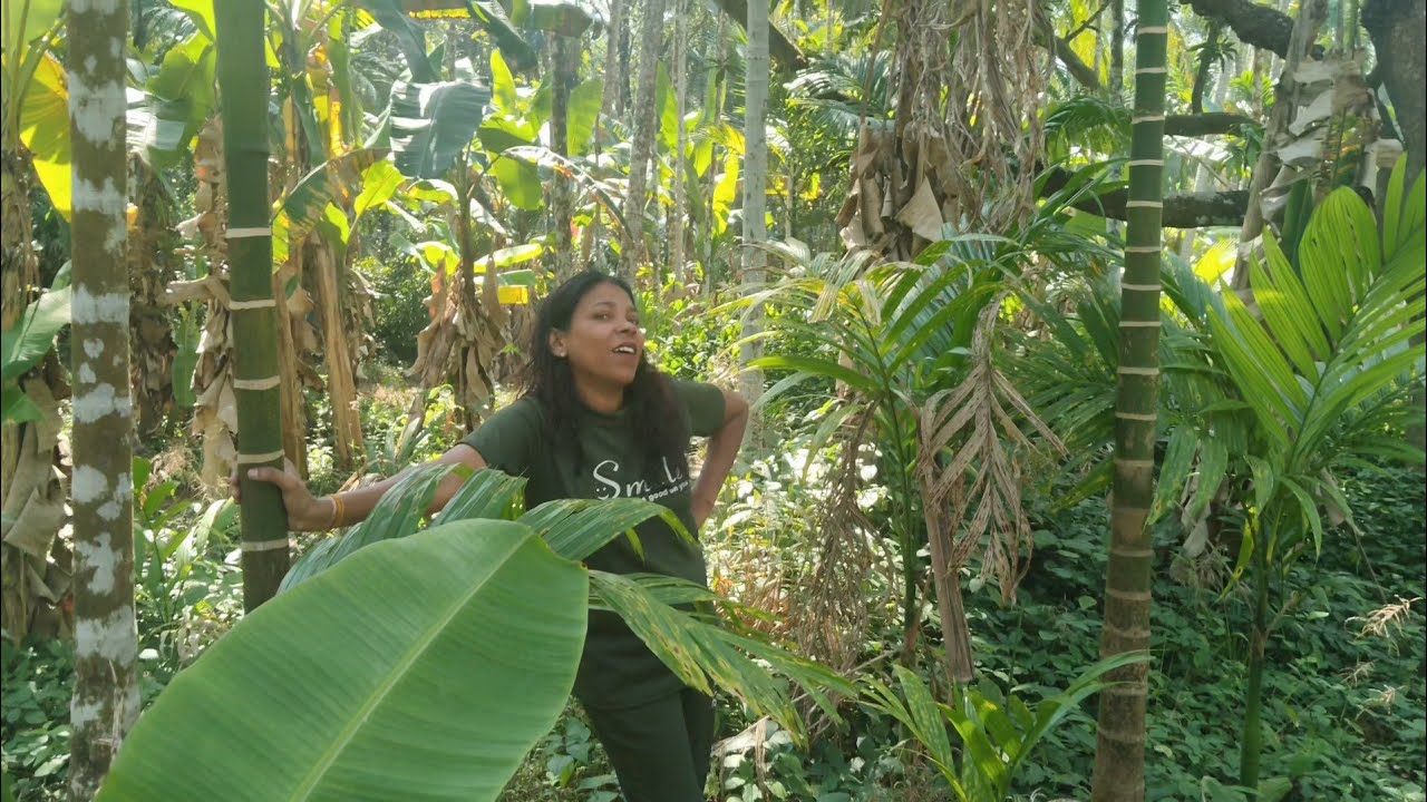 നമുക്ക് ഒരു പറമ്പ് ടൂർ ആയാലോ