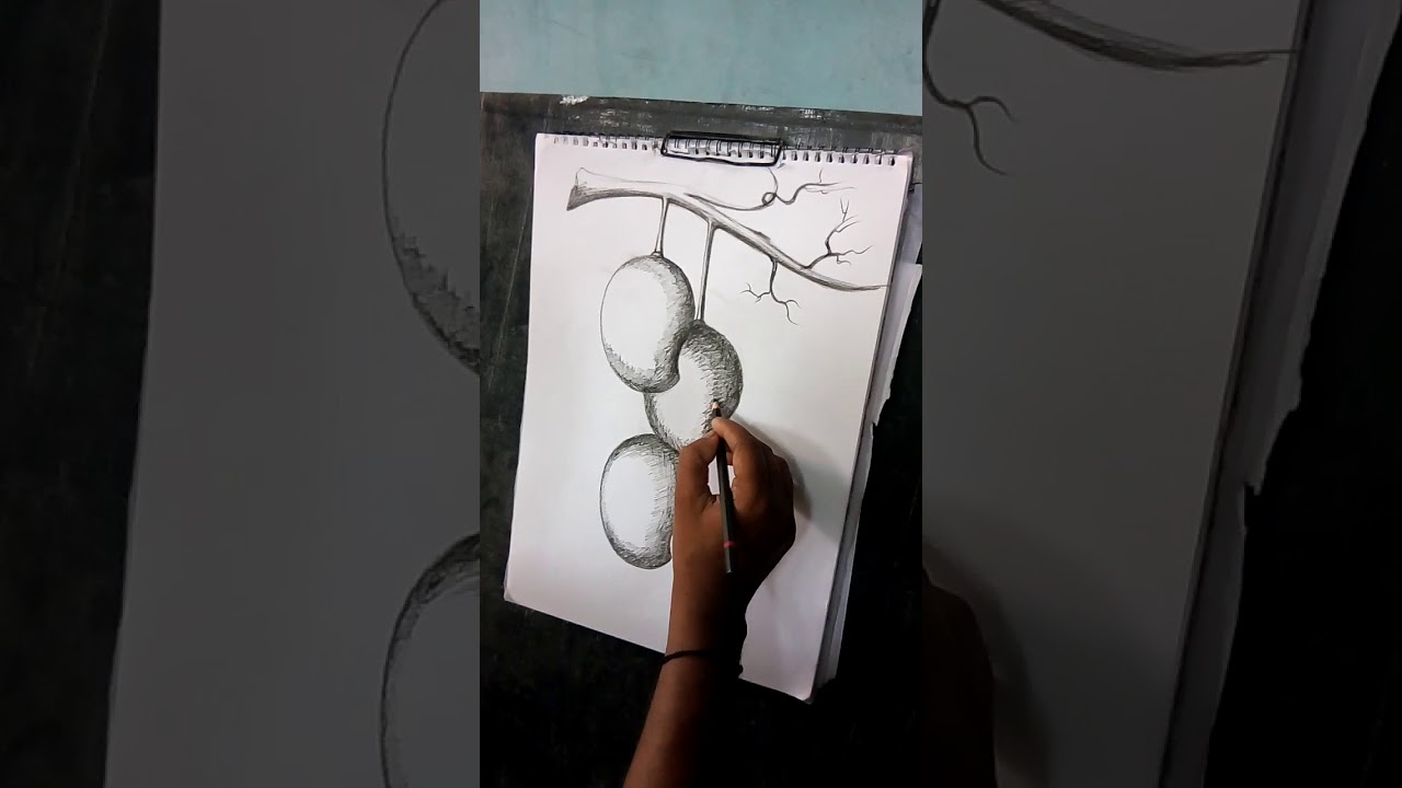 Mango pencil shading