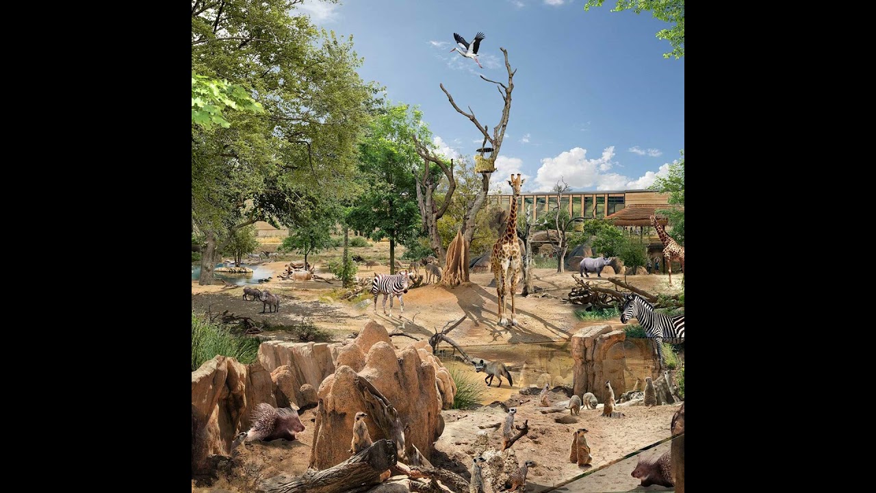 Wie sieht der Zoo der Zukunft aus? (März 2025)