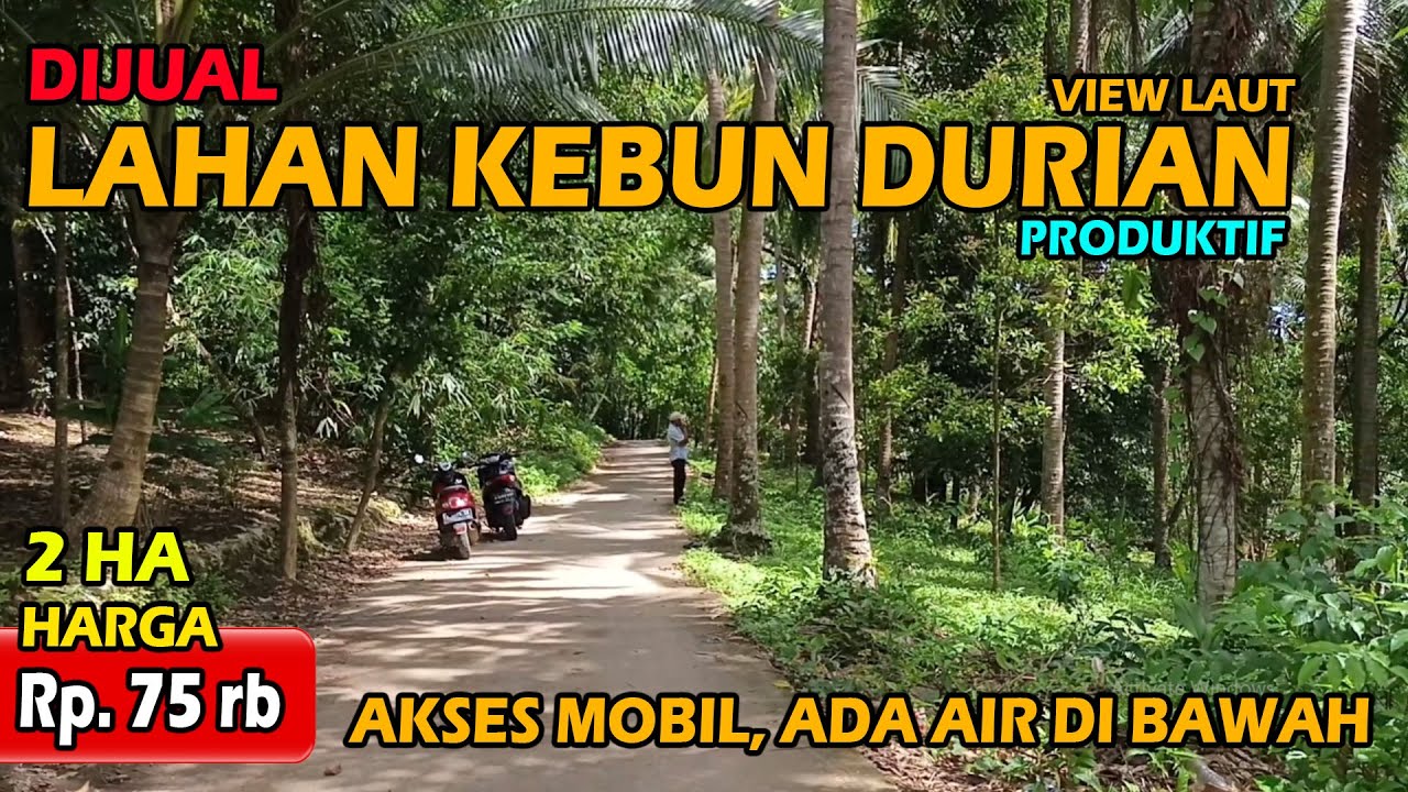 DIJUAL LAHAN KEBUN 2 HA MURAH VIEW LAUT