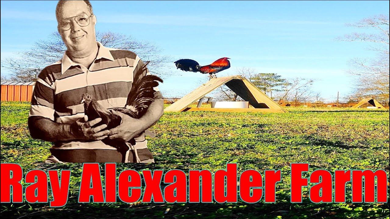 Lets Visit The Farm Of Ray Alexander Farm