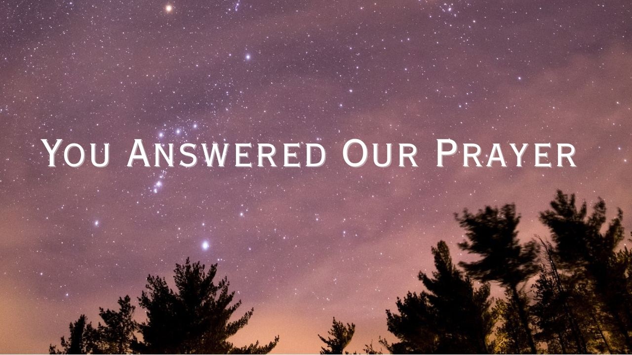 You Answered Our Prayer | Psalm 21 Inspired Worship Song | Worship music with lyrics