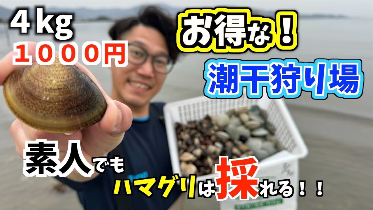 【潮干狩り】１０００円で４キロ採れる春日浦海岸は素人でもお得にハマグリが採れた！