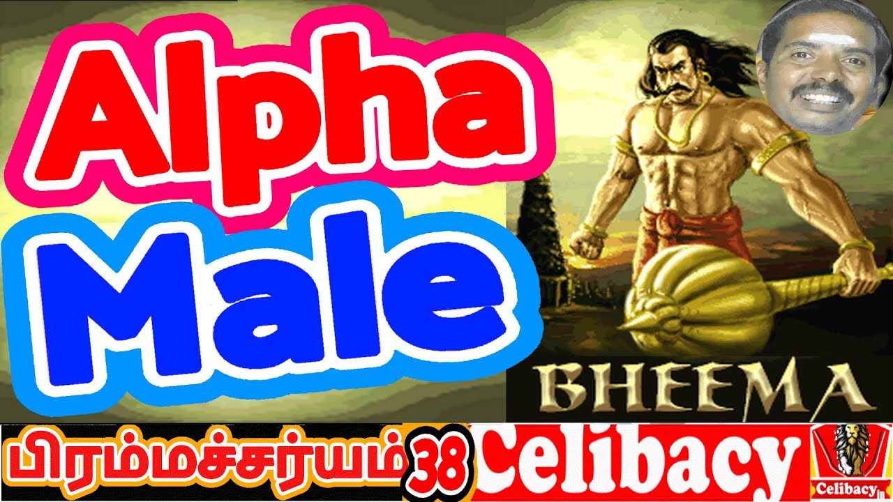 How to become Alpha Male in tamil & More Q & A |Day 38 | Celibacy nofap Tamil meditations