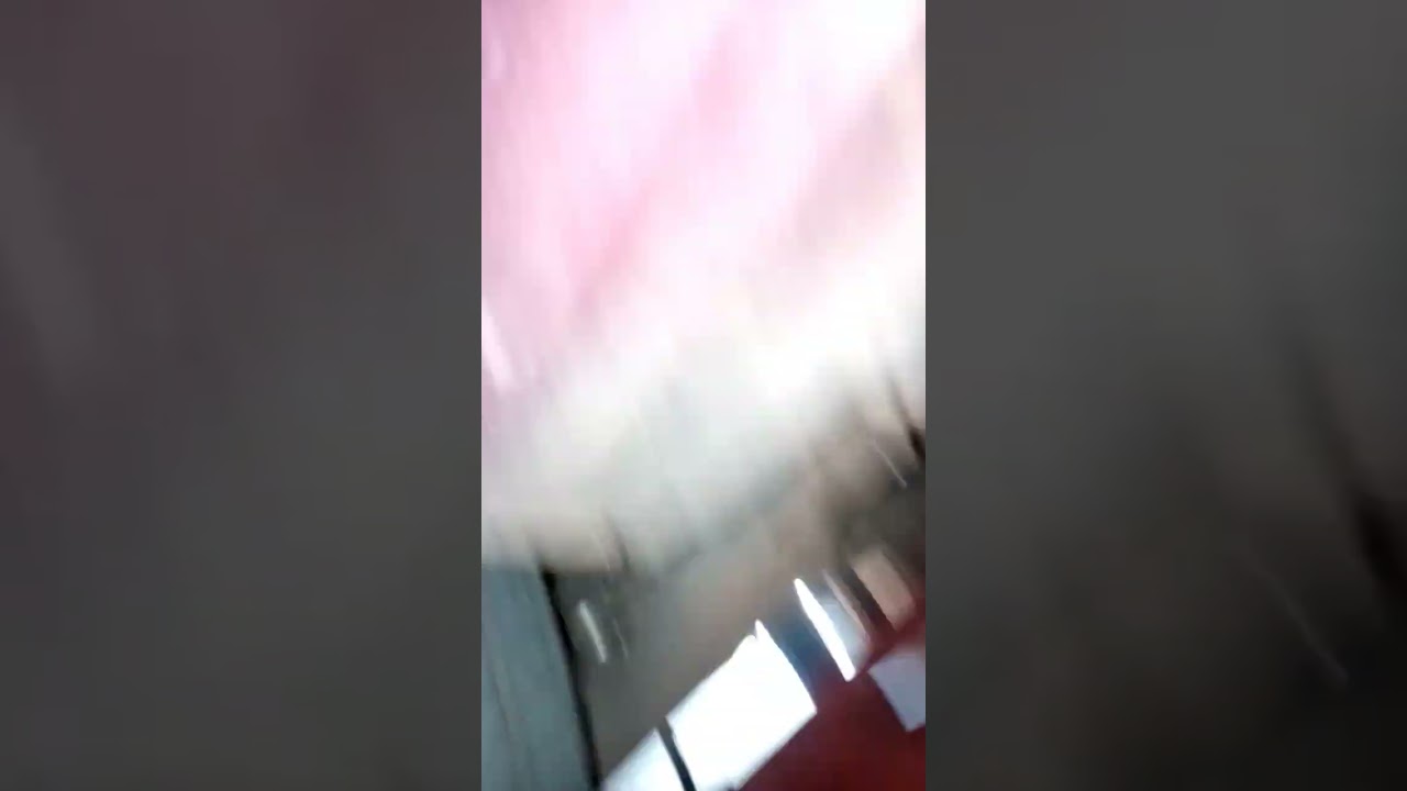 monza pega e morre