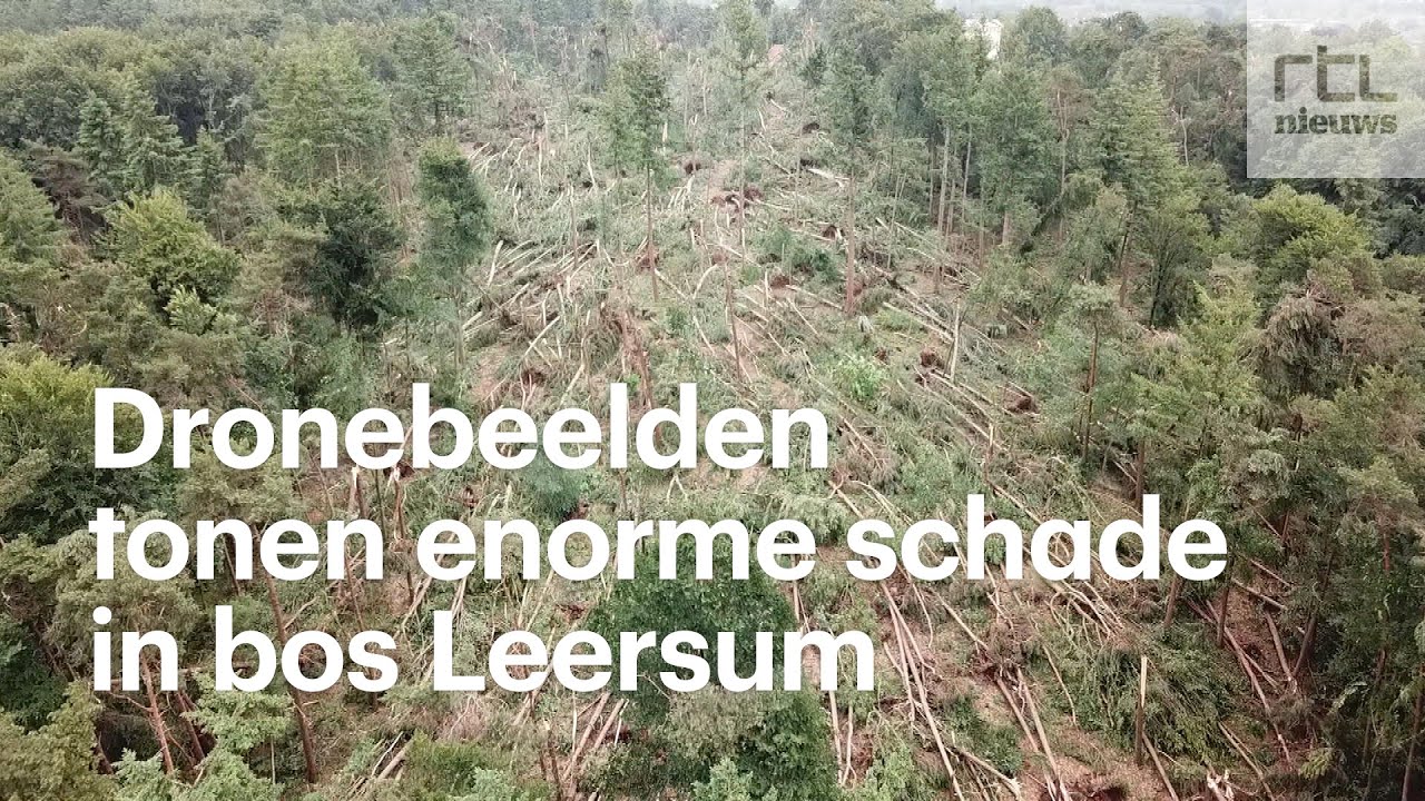 Dronebeelden tonen enorme schade in bos Leersum