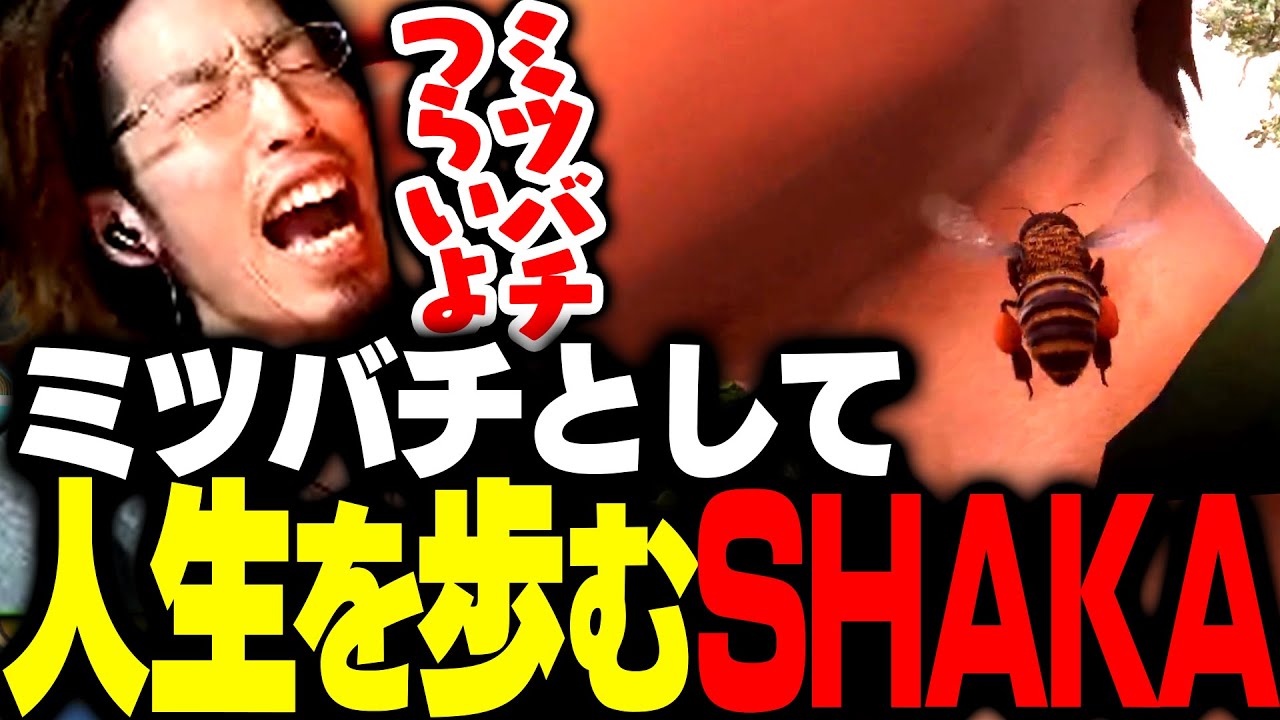 ミツバチの人生を送るSHAKA【Bee Simulator】