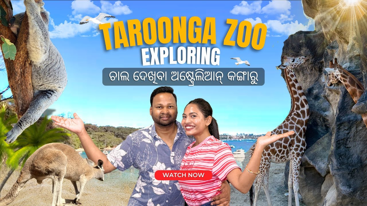 🦘🇦🇺ଚାଲ ଦେଖିବା କଙ୍ଗାରୁ | Austrlia Taroonga Zoo Adventure🌿🐨| Odia Vlog #zoo #odiavlog