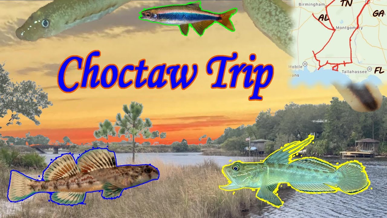 Fishing for Lifers Across the Florida Panhandle (10 days)