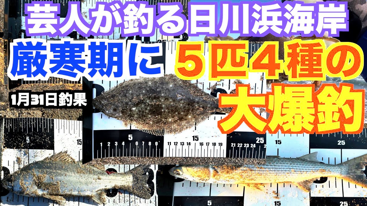 【日川浜サーフ】真冬に数釣りも楽しめる日川浜のポテンシャル！芸人が釣る日川浜海岸シリーズ