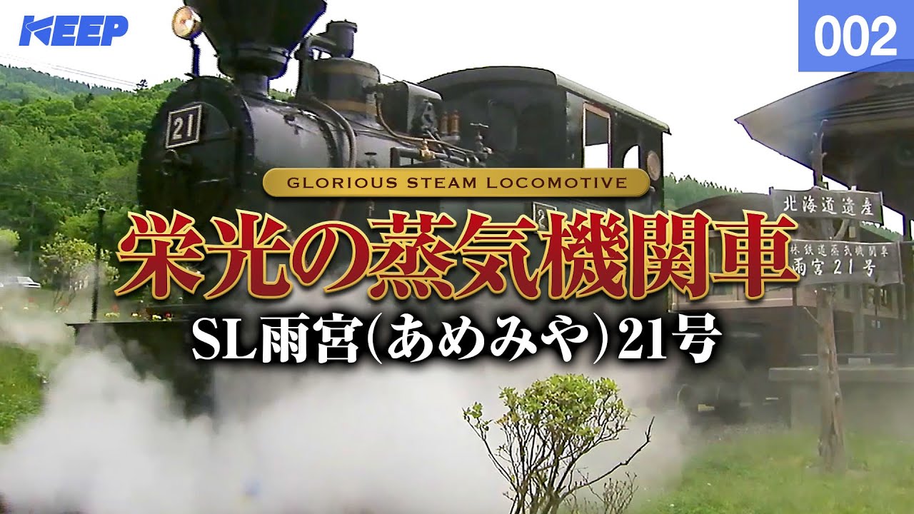 【鉄道】栄光の蒸気機関車 [002] SL雨宮(あめみや)21号[撮影2003年.2007年]