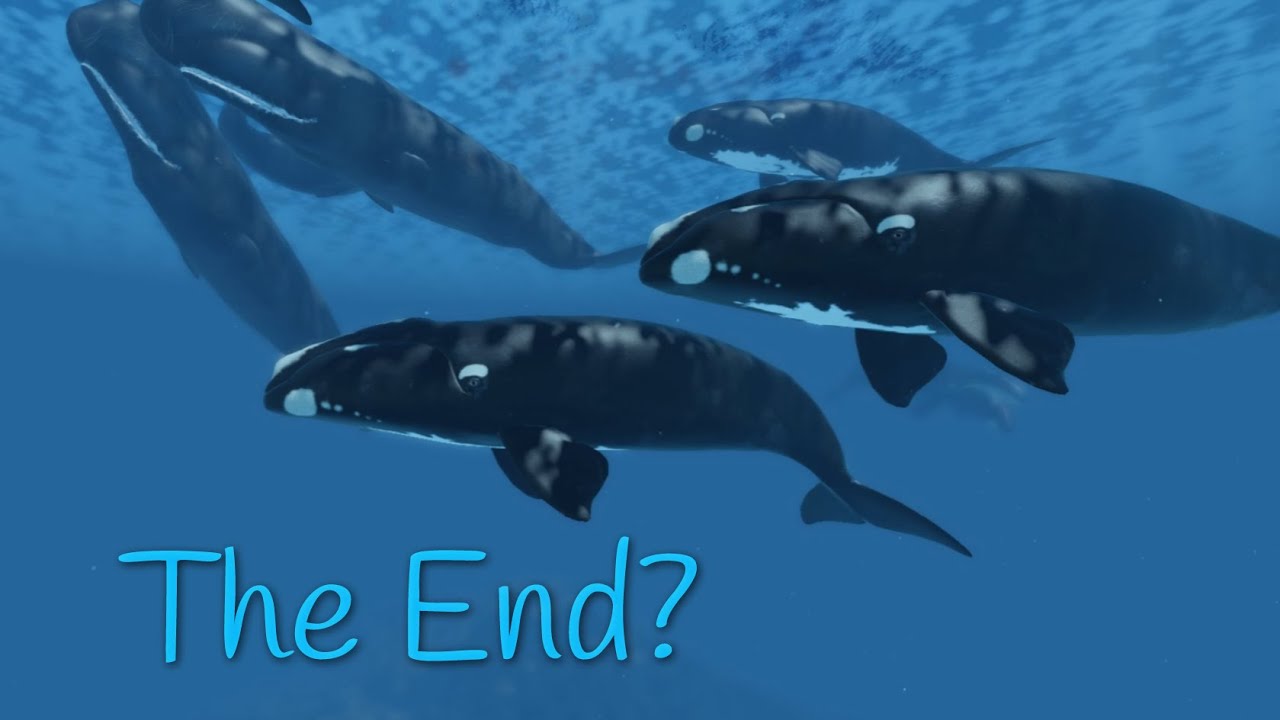 The final update... Oceanic Testing 2