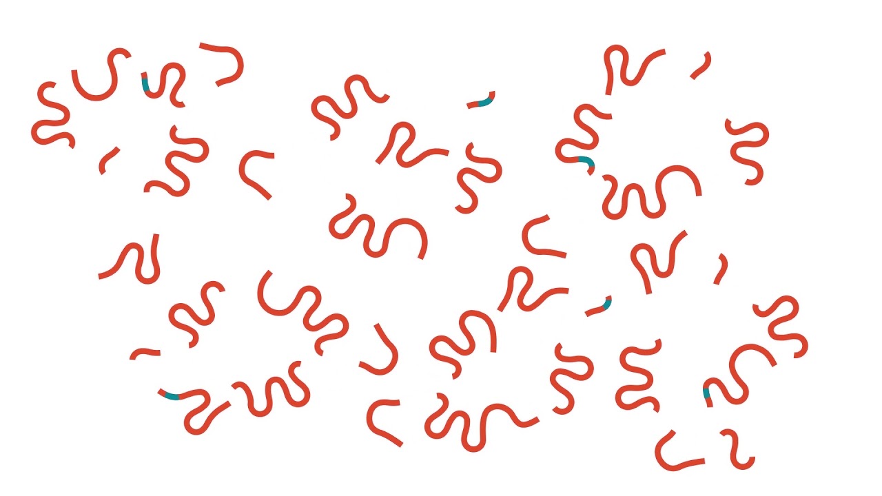 TraDIS: Transposon Directed Insertion Site Sequencing