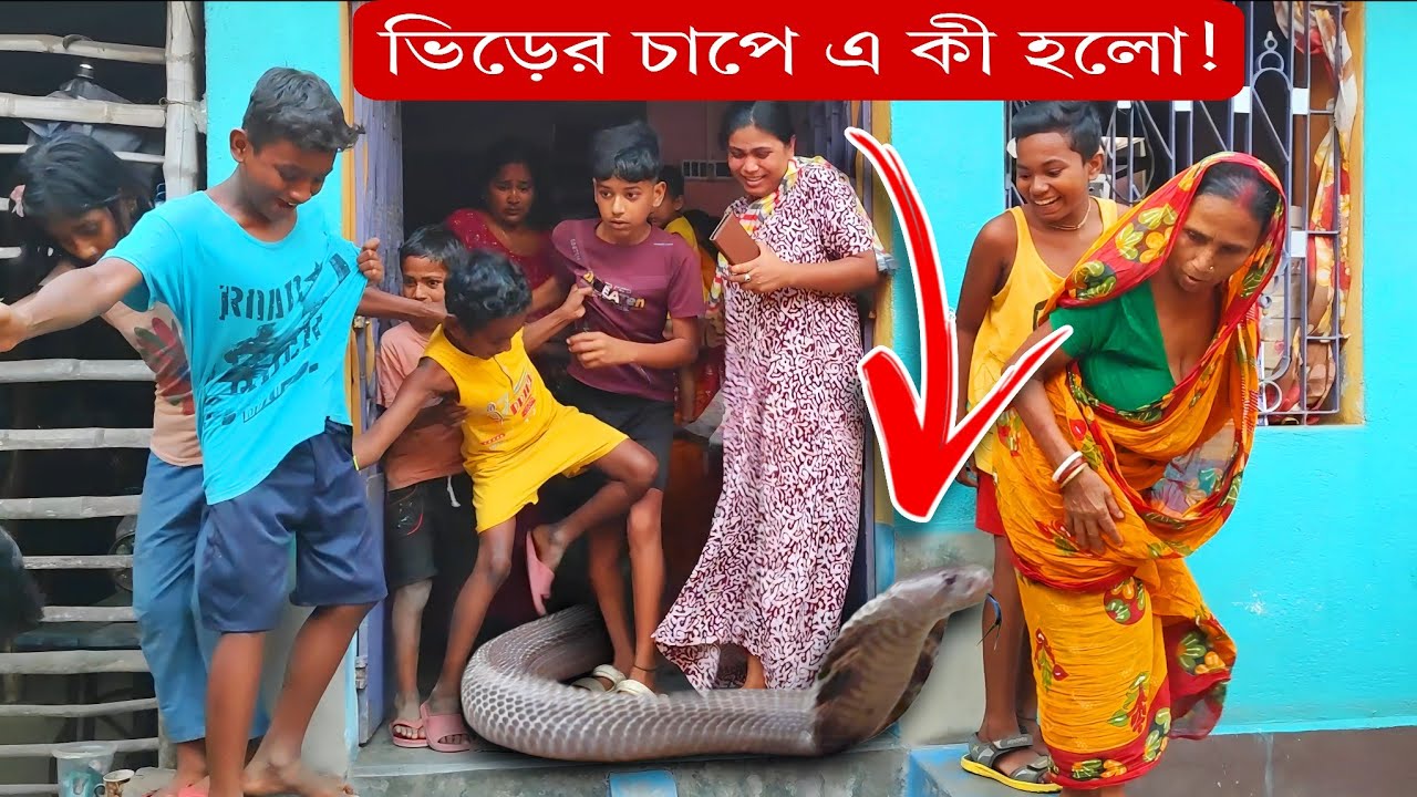 বিশাল সাপ দেখতে হুমড়ি খেয়ে পড়ছে গোটা গ্রাম | সাপের চোখে পৃথিবী কেমন? Massive Size Cobra Rescue