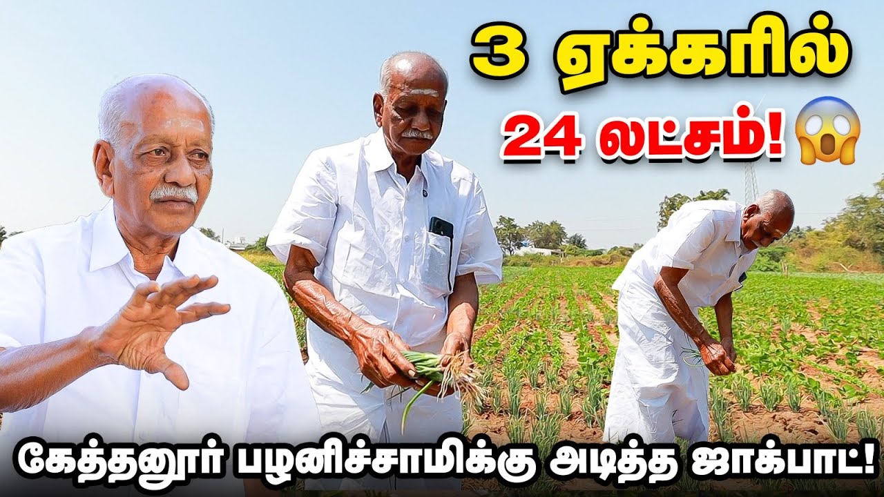90,000 மதிப்புள்ள நிலத்தில் 24 லட்சம் எடுத்தேன் 🔥 பெட்டி நிறையா பணம் வந்துச்சு| கேத்தனூர் பழனிச்சாமி