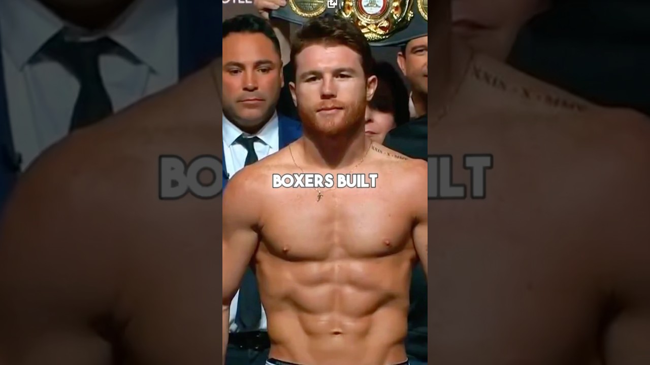HOW to build a BOXER-type body #boxing