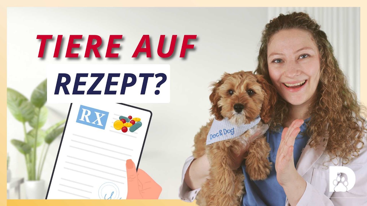 Tiergestützte Therapie auf Rezept? So zahlt die Krankenkasse!