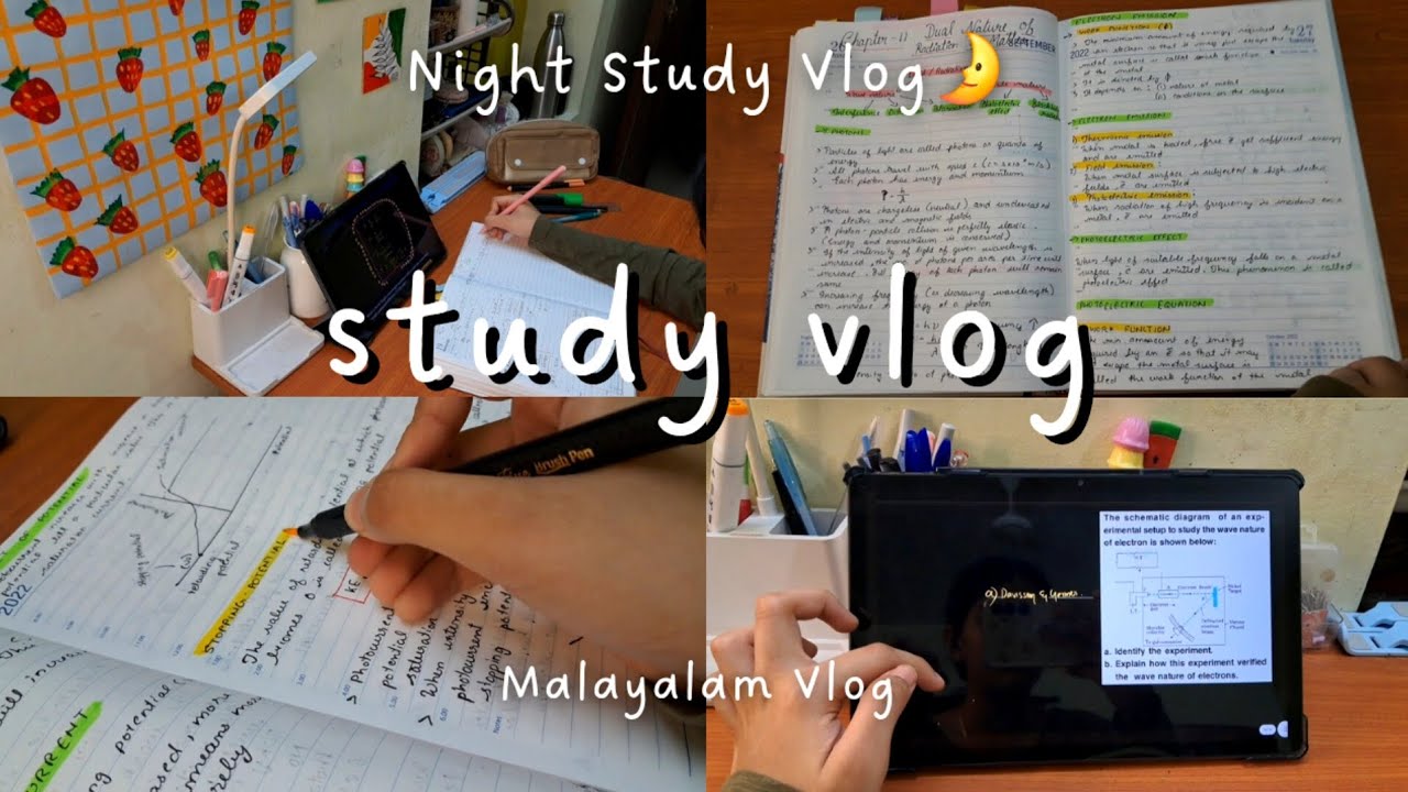 Night Study Vlog || 12th Grader || Malayalam Vlog || Lonely Lunar 