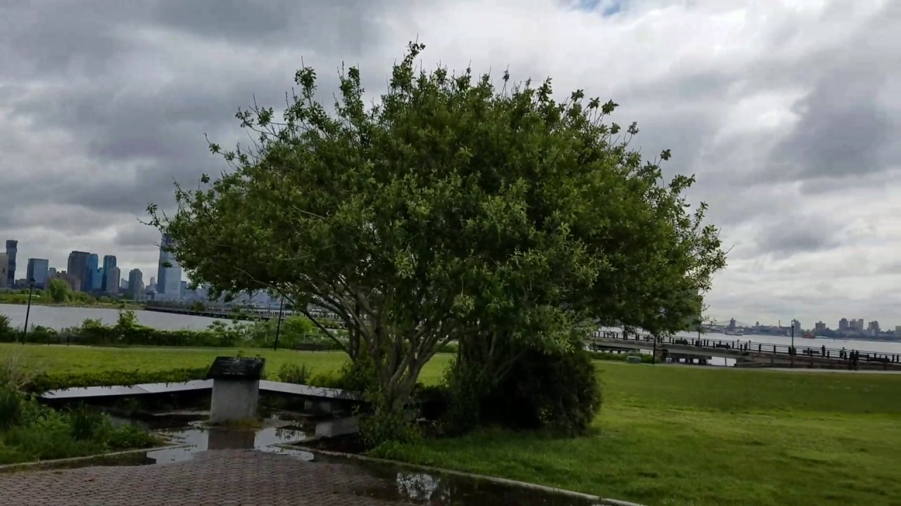 LIBERTY PARK NJ