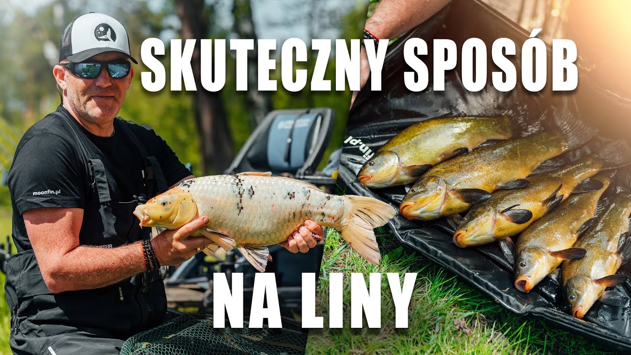Skuteczny Sposób Na Liny - Method Feeder