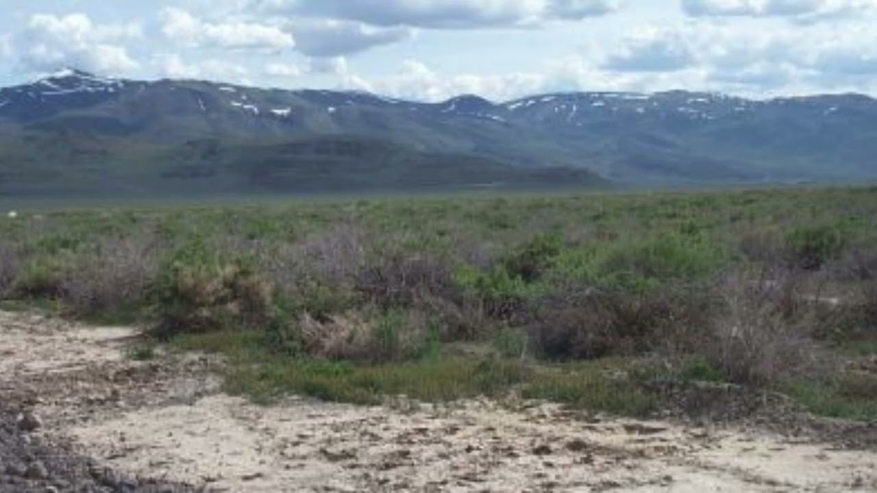 41.959 acres in the historic railroad townsite of Flanigan, NV — only $69,000!