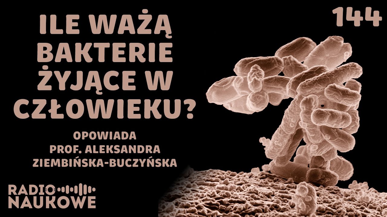 Bakterie &ndash; czy to one sterują naszym 