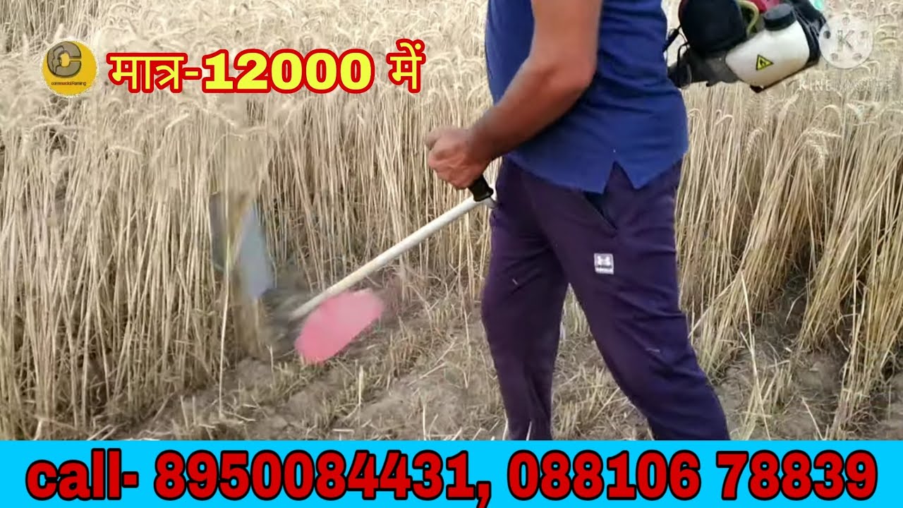 ब्रश कटर से गेहूं की कटाई। गेहूं काटने की मशीन।call- 8950084431,8810678839। brush cutter full review
