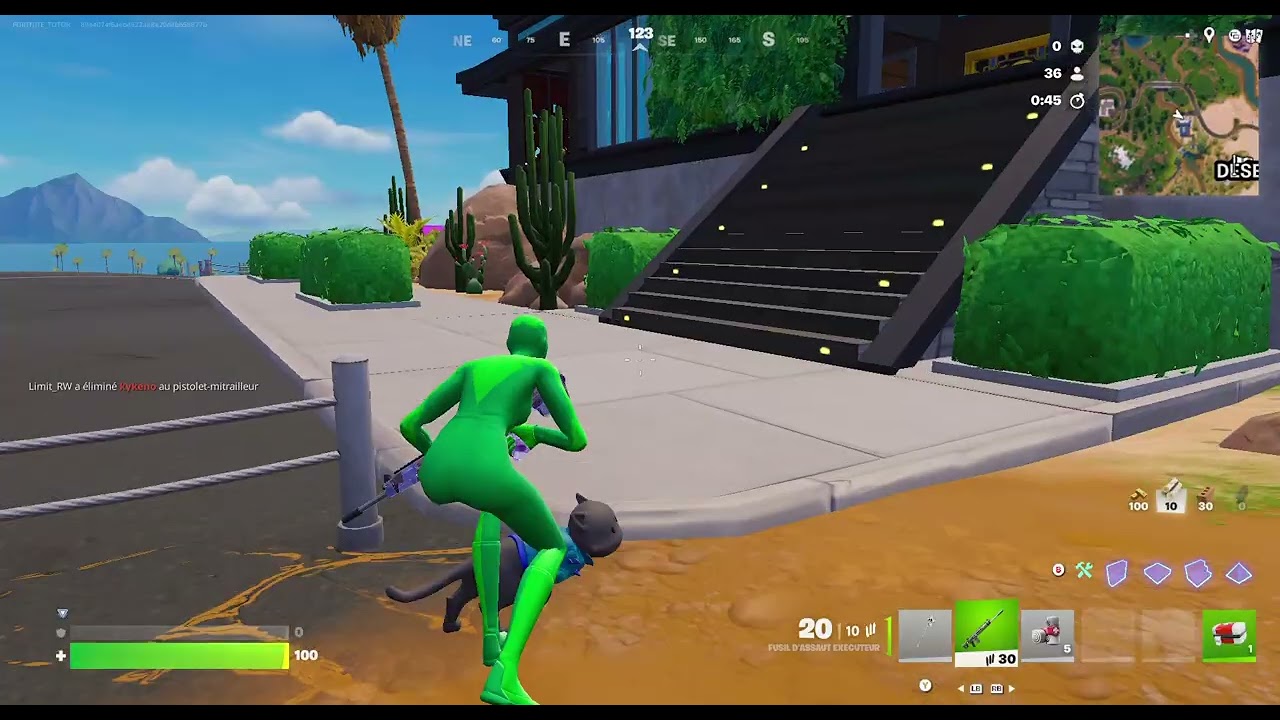 je fait rien de la geme incroyable top 2