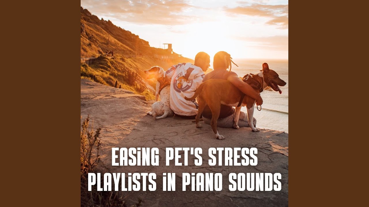 Piano Pet Sleep Therapy