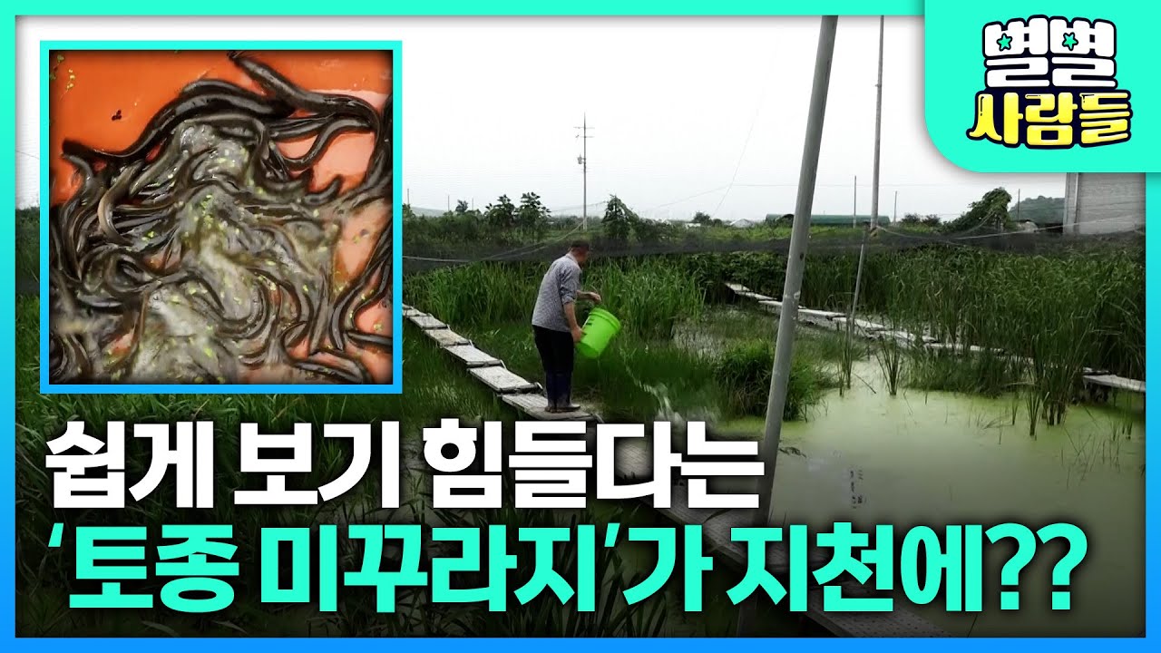 쉽게 보기 힘든 토종 미꾸라지만 15톤, 2000평의 논을 혼자서 가꾸는 남자 [ 별별사람들 ]