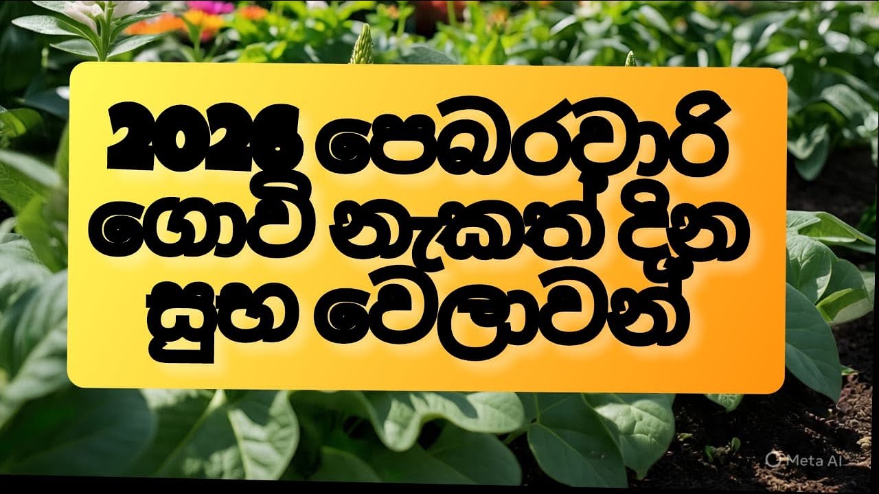 2026 පෙබරවාරි ගොවි නැකත් සුබ දින වේලාව වගා විනාශවන දින Hela Govi Litha 2026 February Govi Nakath