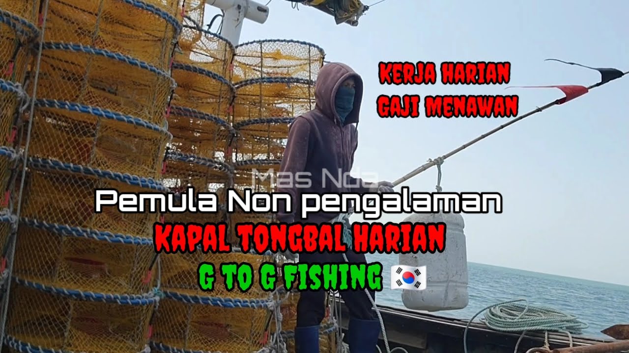 🔴 Cara kerja kapal tongbal gtog fishing korea selatan ⚓️🇰🇷⚓️
