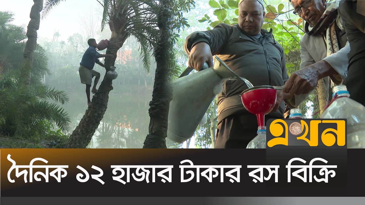 রসের জন্য বাণিজ্যিক খেজুর বাগান | Dates Business | CTG | Ekhon TV