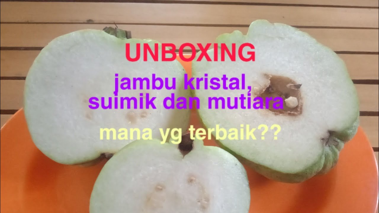 Unboxing jambu kristal,  suimik pala dan mutiara