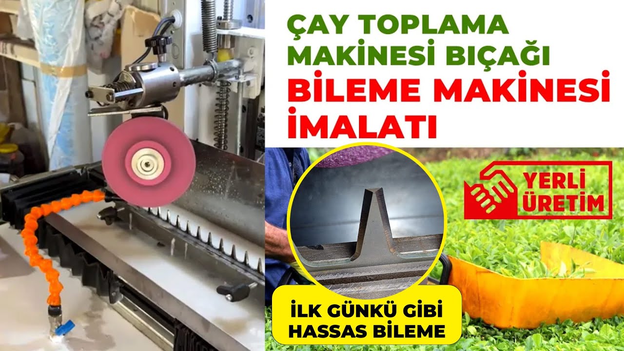 Çay Toplama - Kesim Makinesi Bıçağı Bileme Makinesi
