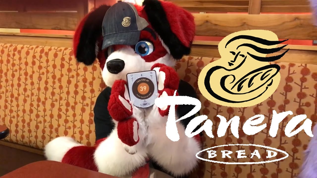 Fursuiting at Panera Bread (w/ Antares)