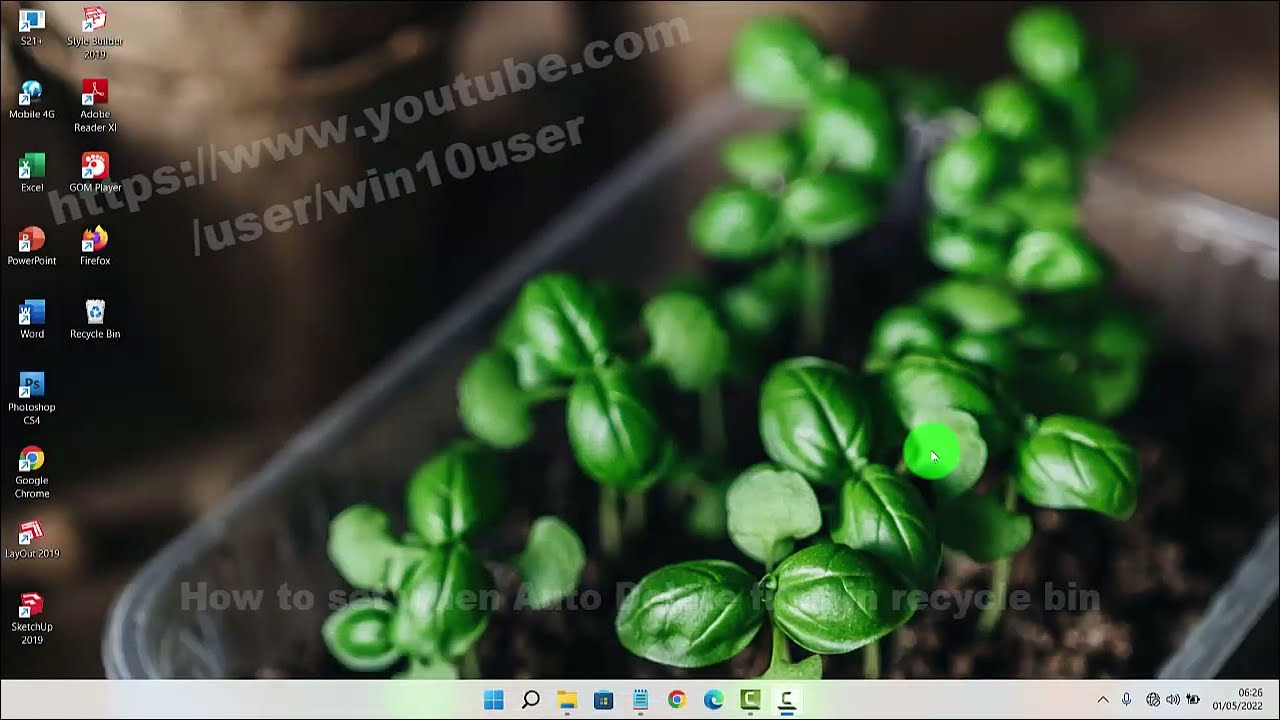 Windows 11 Home : How to set when Auto Delete files in recycle bin