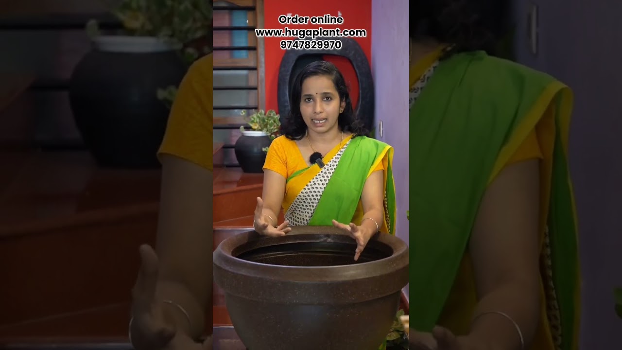 Lotus ROTO Pots @ Hug A Plant.