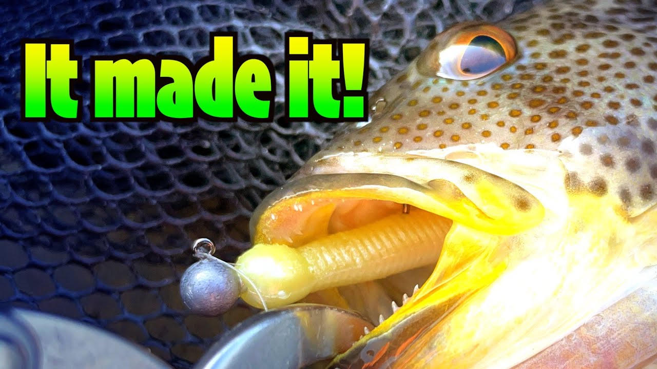 Low Tide Challenge – EcoGear Grass Minnow Works!!