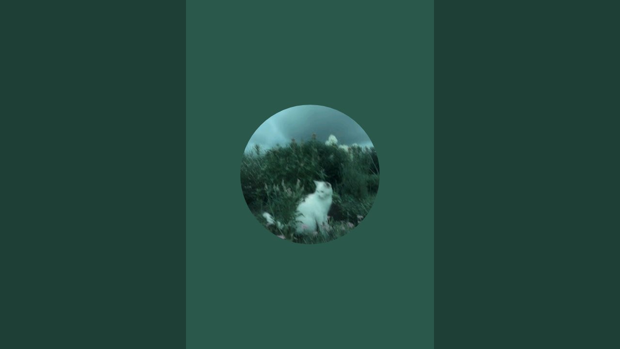 Псалми,Церков Молитви.