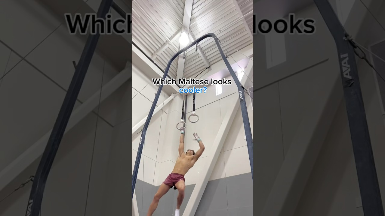 Rings strength on floor? 😳   #gymnast #calisthenics #abworkout #strong