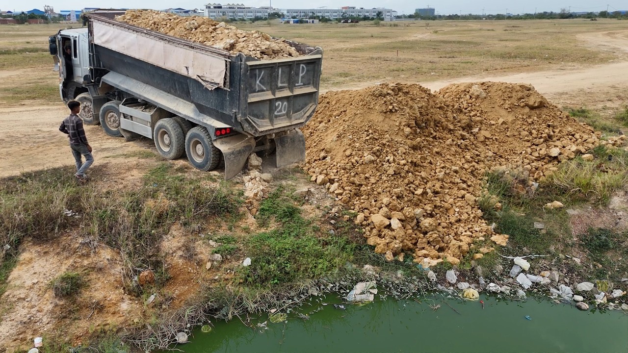 Excellent Project! Great filling huge land using Dump truck 25.5ton & Expert Dozer D41P