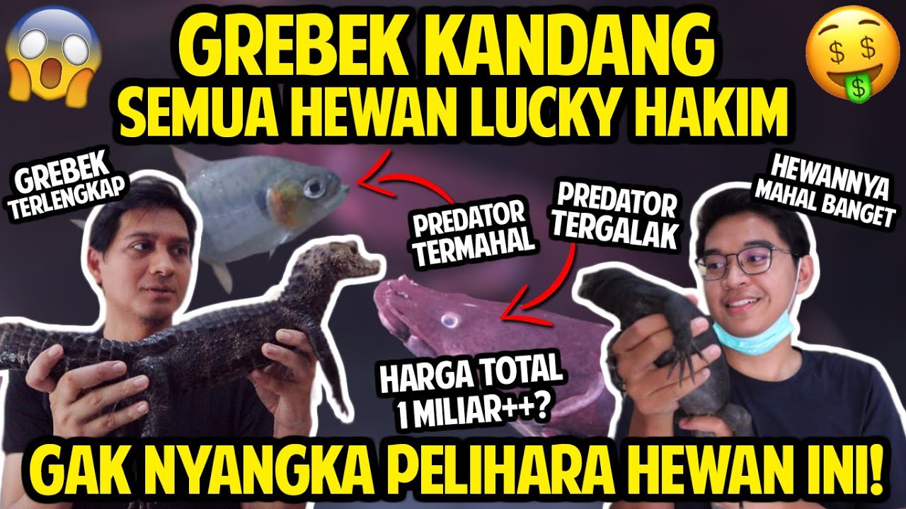 GREBEK SEMUA KOLEKSI HEWAN LUCKY HAKIM TERLENGKAP! HARGA TOTAL 1 MILIAR??! #GREBEKKANDANG #PART1