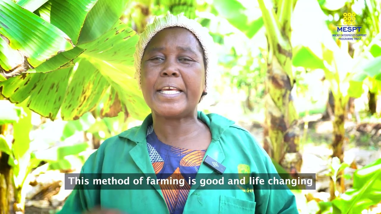 Youth and Women Transforming Taveta’s Banana Value Chain