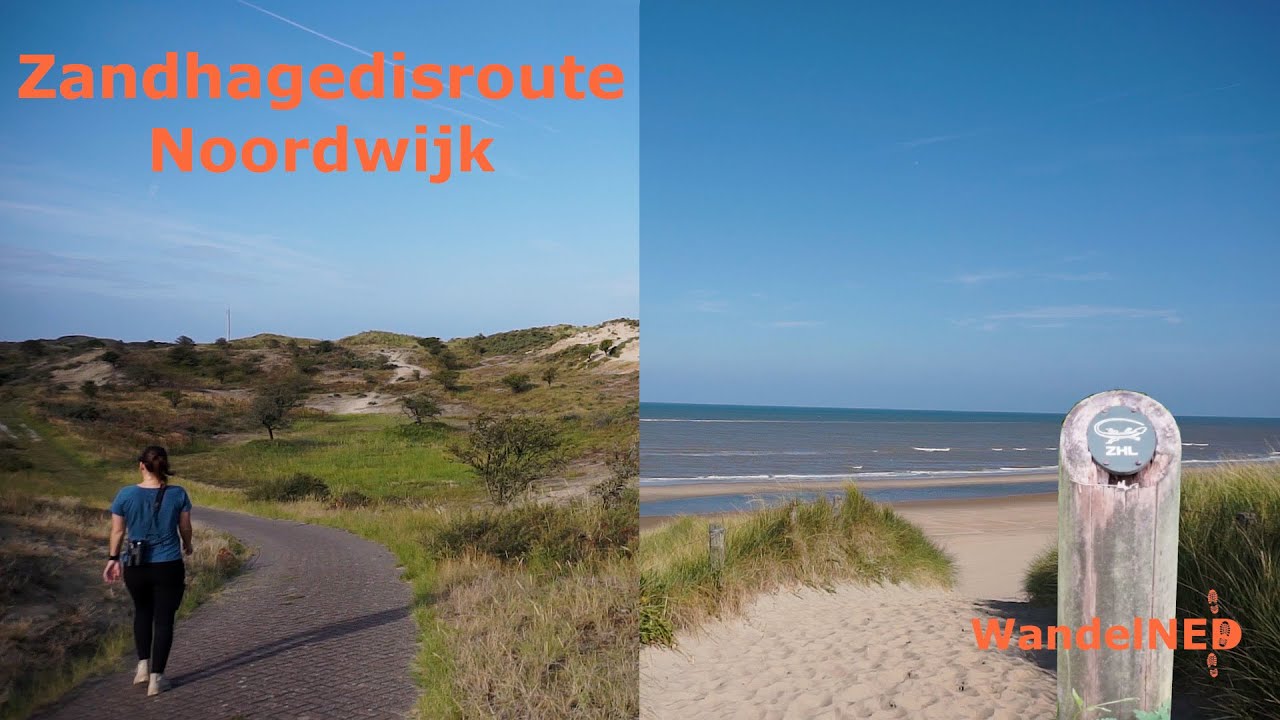 Zandhagedisroute | 8,2km | Diverse wandeling door de duinen en over het strand | #10